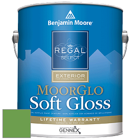 Benjamin Moore W096 Regal Select Exterior Paint-Moor GloSoft Gloss Finish краска цвет 560 Sullivan Green