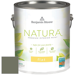 Benjamin Moore 512 Natura Interior Flat Finish матовая краска цвет NCS S 6010-G50Y 