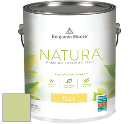 Benjamin Moore 512 Natura Interior Flat Finish матовая краска цвет NCS S 1030-G50Y 