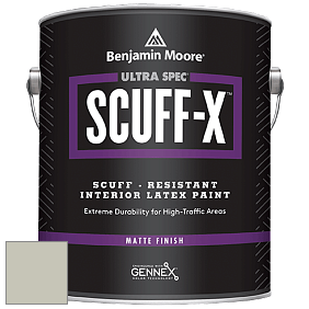 Benjamin Moore 484 Ultra Spec SCUFF-X Interior Matte Finish краска цвет NCS S 2005-G70Y 