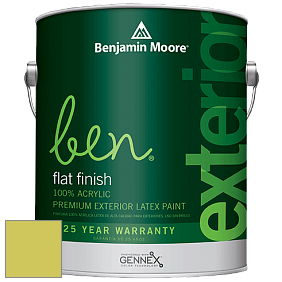 Benjamin Moore Ben 541 Waterborne Exterior Flat Finish краска цвет 404 Electric Slide