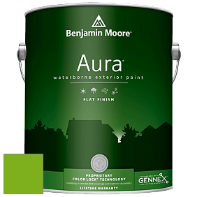 Benjamin Moore Aura 629 Waterborne Exterior Flat Finish краска цвет 2031-20 Paradise Green