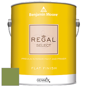 Benjamin Moore 547 Regal Select Waterborne Interior Flat Finish краска цвет NCS S 3050-G40Y 