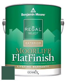Benjamin Moore W105 Regal Select Exterior Paint-MoorLife Flat Finish краска цвет 2043-10 Absolute Green