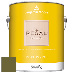 Benjamin Moore 547 Regal Select Waterborne Interior Flat Finish краска цвет NCS S 5540-G60Y 