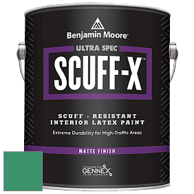 Benjamin Moore 484 Ultra Spec SCUFF-X Interior Matte Finish краска цвет NCS S 3050-G 