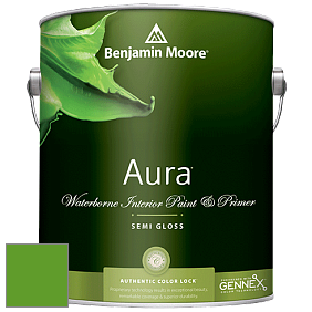 Benjamin Moore Aura 528 Waterborne Interior Semi-gloss Finish краска цвет 2030-10 Lizard Green
