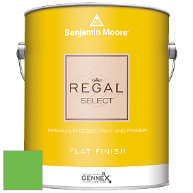 Benjamin Moore 547 Regal Select Waterborne Interior Flat Finish краска цвет NCS S 0575-G20Y 