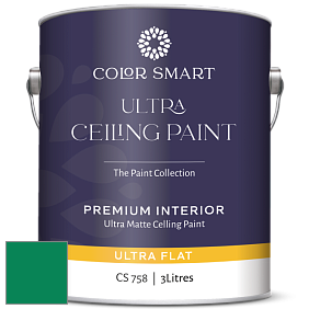 COLOR SMART CS 758 ULTRA CEILING PAINT ультраматовая краска цвет NCS S 3060-G 