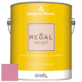 Benjamin Moore 547 Regal Select Waterborne Interior Flat Finish краска цвет NCS S 1050-R20B 