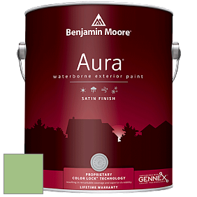 Benjamin Moore Aura 631 Waterborne Exterior Satin Finish краска цвет 551 Exotic Bloom