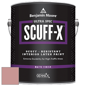 Benjamin Moore 484 Ultra Spec SCUFF-X Interior Matte Finish краска цвет 2091-50 Rosy Tan