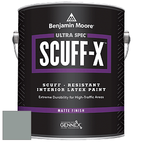 Benjamin Moore 484 Ultra Spec SCUFF-X Interior Matte Finish краска цвет NCS S 4005-B80G 