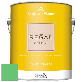 Benjamin Moore 547 Regal Select Waterborne Interior Flat Finish краска цвет NCS S 0565-G10Y 