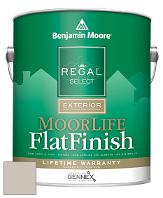 Benjamin Moore W105 Regal Select Exterior Paint-MoorLife Flat Finish краска цвет 973 Ice Formations