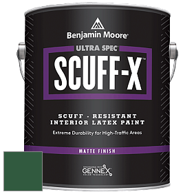 Benjamin Moore 484 Ultra Spec SCUFF-X Interior Matte Finish краска цвет NCS S 5540-G10Y 