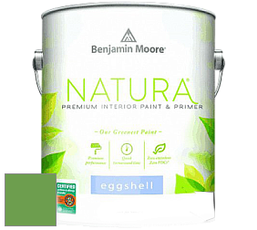 Benjamin Moore 513 Natura Interior Eggshell Finish краска с блеском цвет 560 Sullivan Green