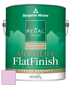Benjamin Moore W105 Regal Select Exterior Paint-MoorLife Flat Finish краска цвет 2076-60 Dog's Ear