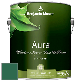 Benjamin Moore Aura 528 Waterborne Interior Semi-gloss Finish краска цвет 2042-10 True Green