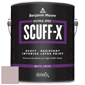 Benjamin Moore 484 Ultra Spec SCUFF-X Interior Matte Finish краска цвет AF-610 