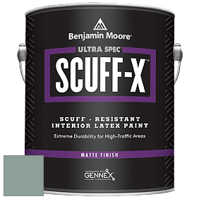 Benjamin Moore 484 Ultra Spec SCUFF-X Interior Matte Finish краска цвет AF-495 