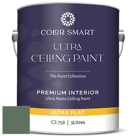 COLOR SMART CS 758 ULTRA CEILING PAINT ультраматовая краска цвет 637 Gothic Green