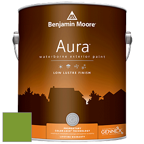 Benjamin Moore Aura 634 Waterborne Exterior Low Lustre Finish краска цвет 2029-20 Baby Fern
