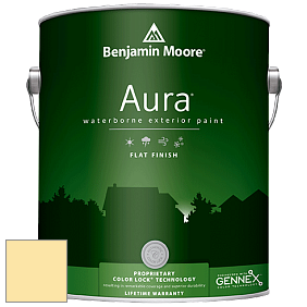 Benjamin Moore Aura 629 Waterborne Exterior Flat Finish краска цвет 359 Lightning Storm