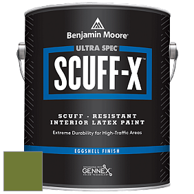 Benjamin Moore 485 Ultra Spec SCUFF-X Interior Eggshell Finish краска цвет NCS S 3560-G40Y 