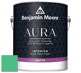 Benjamin Moore Aura 522 Interior Paint - Matte краска цвет NCS S 1060-G 