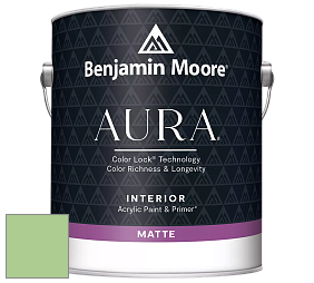 Benjamin Moore Aura 522 Interior Paint - Matte краска цвет 550 Paradise Hills Green