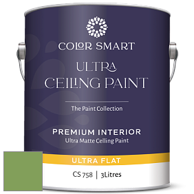 COLOR SMART CS 758 ULTRA CEILING PAINT ультраматовая краска цвет 552 Pleasant Grove