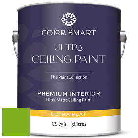 COLOR SMART CS 758 ULTRA CEILING PAINT ультраматовая краска цвет 2031-20 Paradise Green