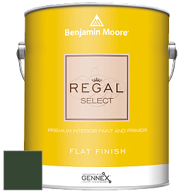Benjamin Moore 547 Regal Select Waterborne Interior Flat Finish краска цвет RAL 6020 