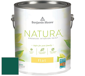 Benjamin Moore 512 Natura Interior Flat Finish матовая краска цвет NCS S 5540-B80G 