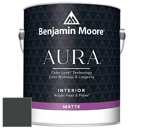 Benjamin Moore Aura 522 Interior Paint - Matte краска цвет NCS S 8505-G20Y 