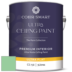 COLOR SMART CS 758 ULTRA CEILING PAINT ультраматовая краска цвет NCS S 1040-G10Y 