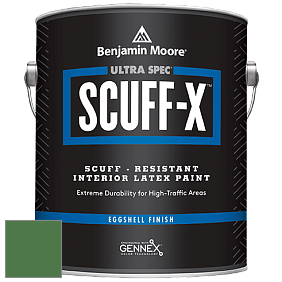 Benjamin Moore 485 Ultra Spec SCUFF-X Interior Eggshell Finish краска цвет NCS S 4050-G20Y 