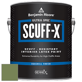 Benjamin Moore 485 Ultra Spec SCUFF-X Interior Eggshell Finish краска цвет 546 Courtyard Green