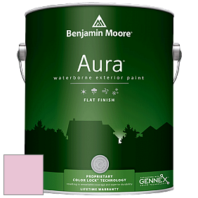 Benjamin Moore Aura 629 Waterborne Exterior Flat Finish краска цвет 2080-60 Posy Pink