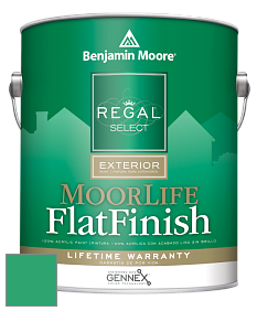 Benjamin Moore W105 Regal Select Exterior Paint-MoorLife Flat Finish краска цвет 2039-30 Cabana Green