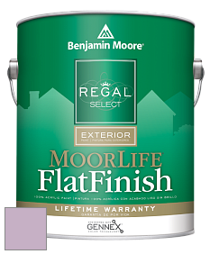 Benjamin Moore W105 Regal Select Exterior Paint-MoorLife Flat Finish краска цвет 1376 Angelina