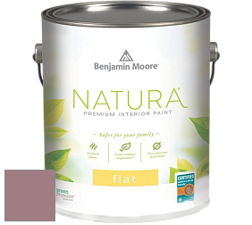 Benjamin Moore 512 Natura Interior Flat Finish матовая краска цвет NCS S 4020-R10B 