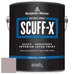 Benjamin Moore 485 Ultra Spec SCUFF-X Interior Eggshell Finish краска цвет NCS S 3010-R10B 