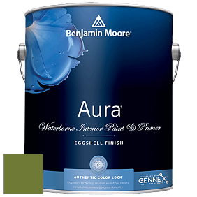 Benjamin Moore Aura 524 Waterborne Interior Eggshell Finish краска цвет NCS S 3560-G40Y 