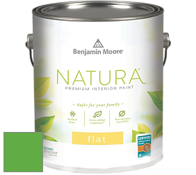 Benjamin Moore 512 Natura Interior Flat Finish матовая краска цвет NCS S 1075-G20Y 