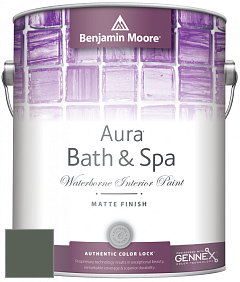 Benjamin Moore Aura 532 Bath & Spa Waterborne Interior Paint Matte Finish краска цвет 448 Dakota Shadow