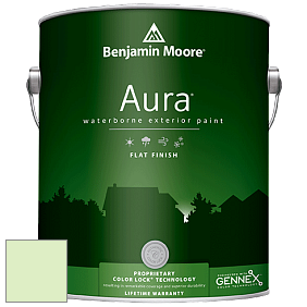 Benjamin Moore Aura 629 Waterborne Exterior Flat Finish краска цвет 2030-60 Celery Ice
