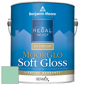 Benjamin Moore W096 Regal Select Exterior Paint-Moor GloSoft Gloss Finish краска цвет 585 Lady Liberty