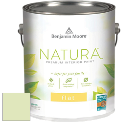 Benjamin Moore 512 Natura Interior Flat Finish матовая краска цвет NCS S 0520-G40Y 